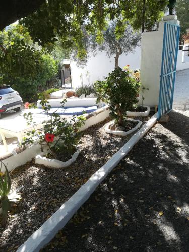 Olive Branch El Chorro Room Type - Double Room