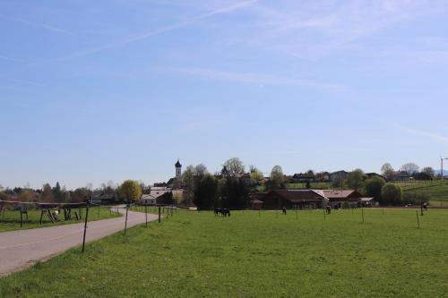 Ferienwohnung Pferdehof Pankratz - Apartment - Iffeldorf