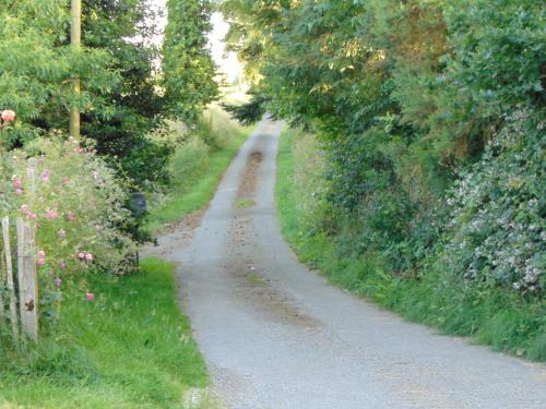Le Domaine photo 19