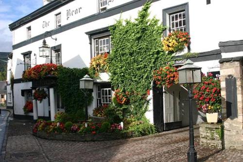 Bear Crickhowell - image 9