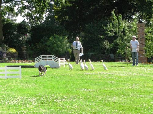Willington Hall Hotel - image 12