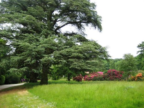 Willington Hall Hotel - image 3