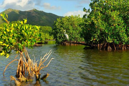 Carlisle Bay