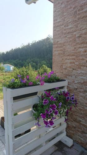 PR Navia Hostal - image 12