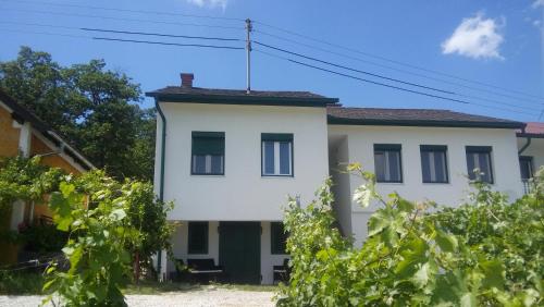 المنظر الخارجي, Ferienhaus Szapary II in Eisenberg