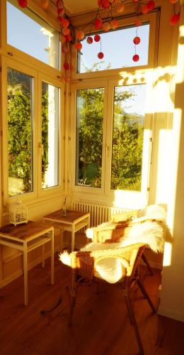 Adventure Hostel Interlaken - image 12