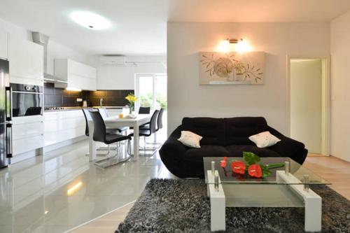  Modern apartment Milatić in Jelsa