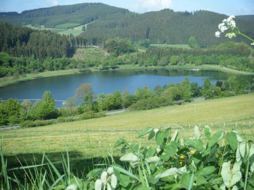 Facilities, Apartment Schoenblick in Niedersfeld
