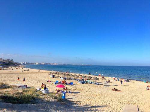 Playa Elisa Bay - Mil Palmeras