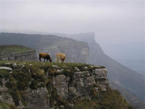 Zikoinaren Txokoa ( El Txoko de la cigüeña )