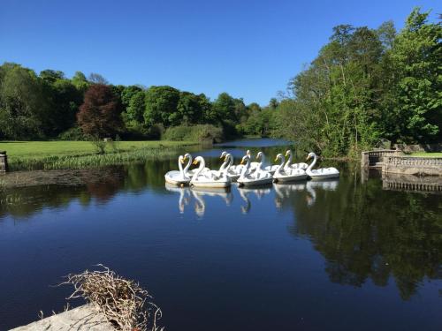 The Anchorage in Westport