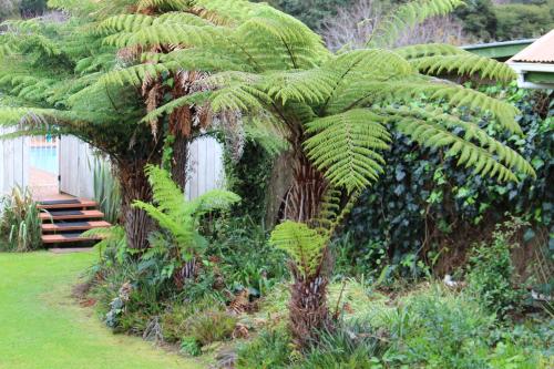 Coromandel Cottages