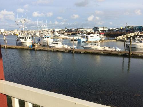 Westport Marina Cottages