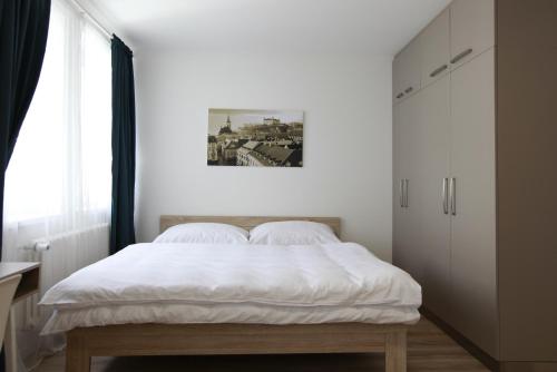 Superior Apartment image 3