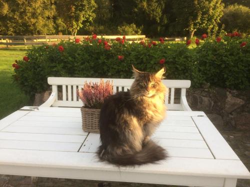 Exterior view, Sejtræk Apartments in Hjorring