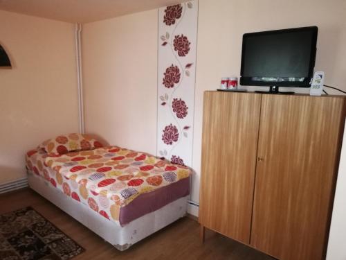 Cabana Ocna Mesaros - image 7
