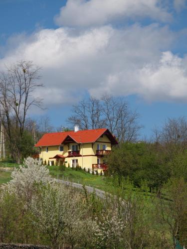 Diofa Vendeghaz in Kehidakustanija