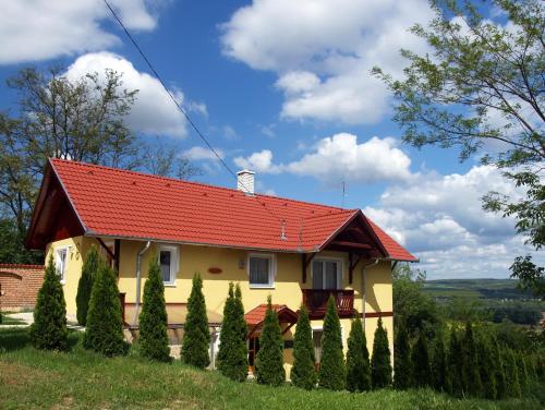 Diofa Vendeghaz in Kehidakustanija
