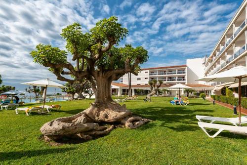 Parador de Nerja - image 8