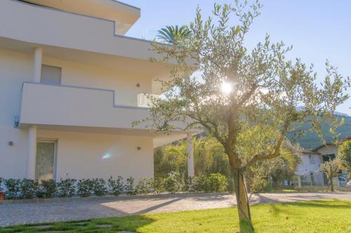 Oleeva Apartment