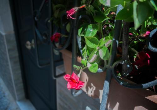 Vecchia Napoli apt 20, Neapel (Foto 6)