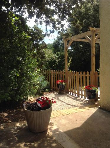 Hoopoe's Hideaway gîte à louer Saint-Siffret