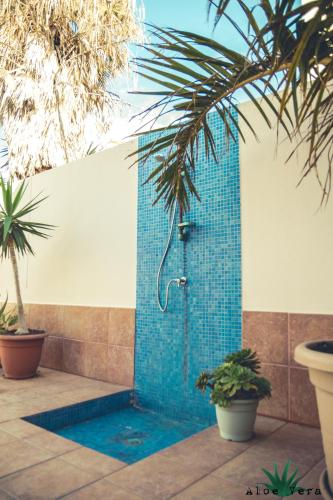 泳池, 蘆薈維拉共用旅館 (Aloe Vera Shared House) in 格蘭迪拉