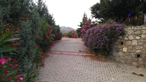  Finka Romantika in Selimiye