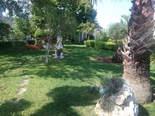 Villa Petra Chiara - image 11