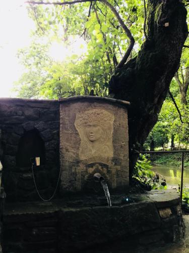Hotel Divetsite - image 12