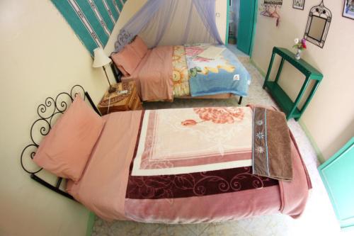 棕榈树宾馆 棕榈树宾馆