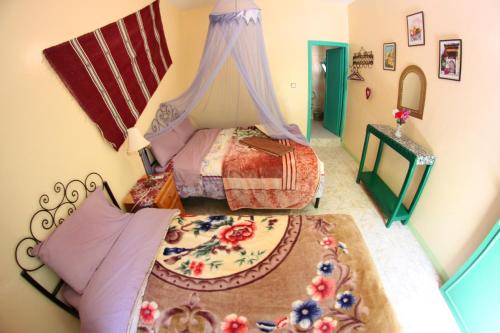 棕榈树宾馆 棕榈树宾馆