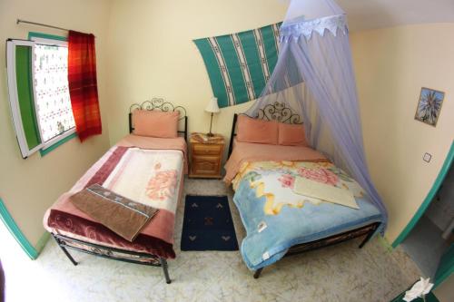 棕榈树宾馆 棕榈树宾馆