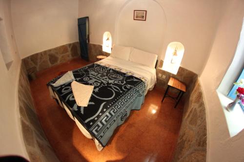 棕榈树宾馆 棕榈树宾馆