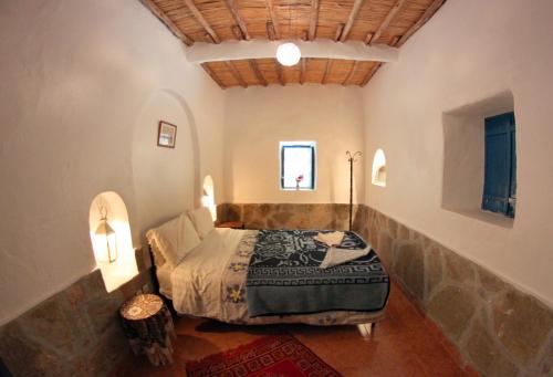 棕榈树宾馆 棕榈树宾馆