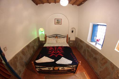 棕榈树宾馆 棕榈树宾馆