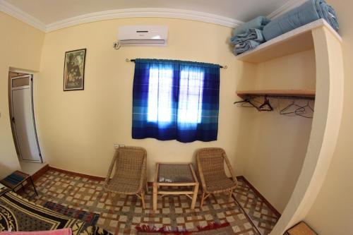 棕榈树宾馆 棕榈树宾馆