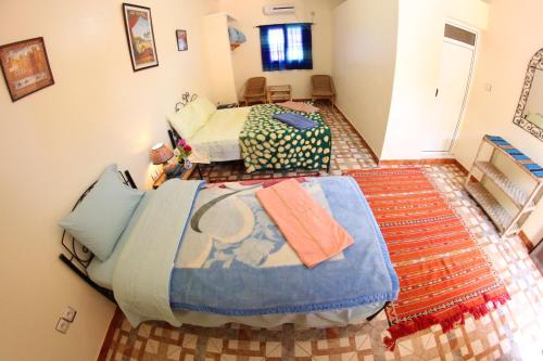 棕榈树宾馆 棕榈树宾馆