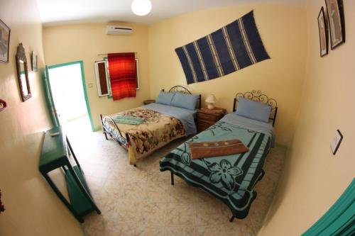 棕榈树宾馆 棕榈树宾馆