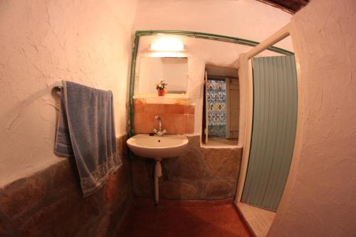 棕榈树宾馆 棕榈树宾馆