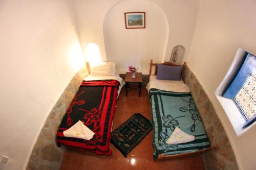 棕榈树宾馆 棕榈树宾馆