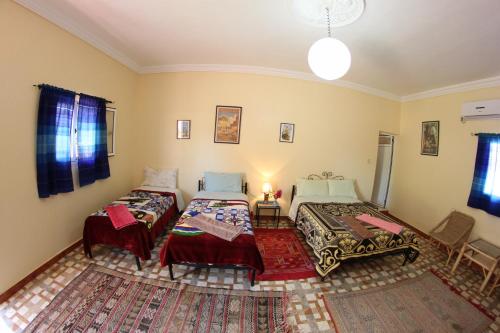 棕榈树宾馆 棕榈树宾馆