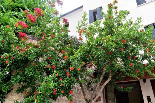 Locanda alla Posta chambre d'hôte Caenere