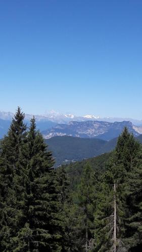 Hotel Scoiattolo - image 12