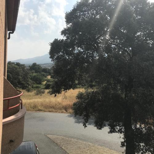 Hotel Restaurante Jarilla