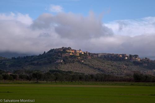  Casetta Singola vicino al Mare in Castagneto Carducci
