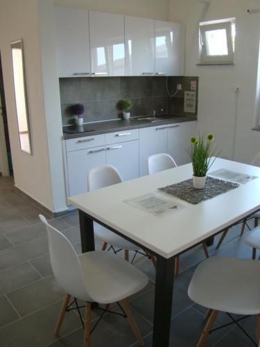  Apartmani Konstruktivan, Ferienwohnung in Vir