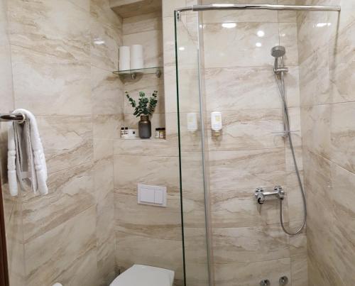 Apis Hotel - main image