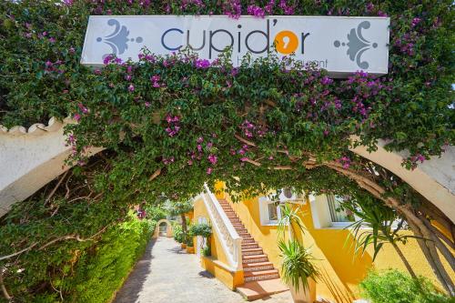 Hotel Cupidor - image 12