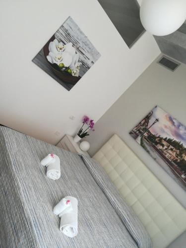 A casa di Luca - image 2
